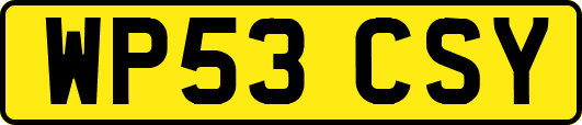 WP53CSY