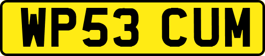 WP53CUM