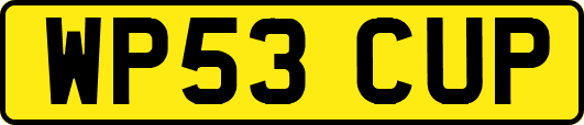 WP53CUP
