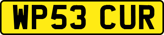 WP53CUR