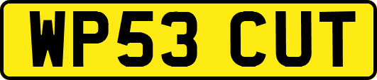 WP53CUT