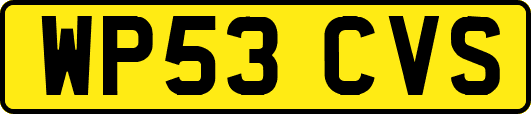 WP53CVS