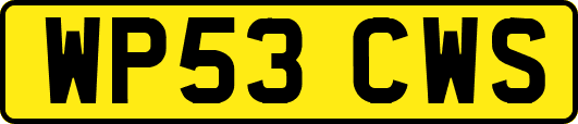 WP53CWS