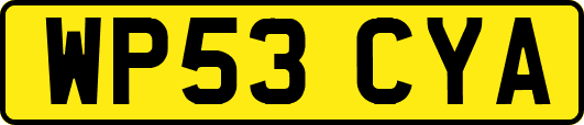 WP53CYA