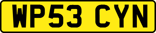 WP53CYN