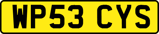 WP53CYS