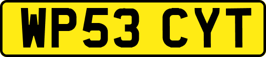 WP53CYT