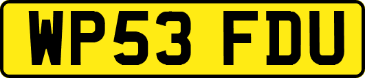 WP53FDU