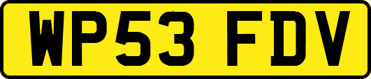 WP53FDV