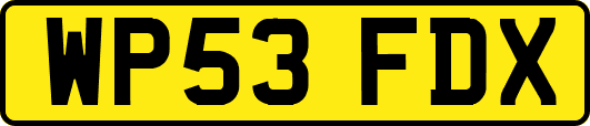 WP53FDX