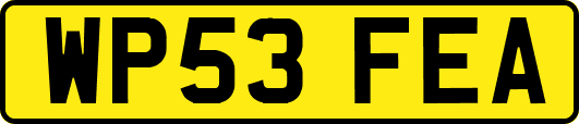 WP53FEA