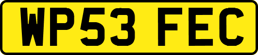 WP53FEC