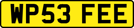WP53FEE