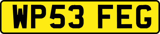 WP53FEG