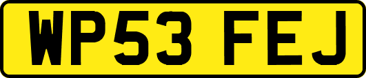 WP53FEJ