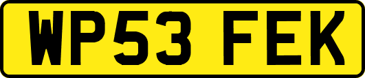 WP53FEK