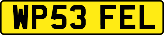 WP53FEL