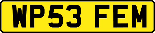 WP53FEM