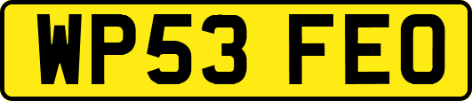 WP53FEO
