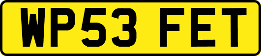 WP53FET