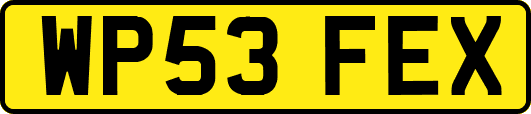 WP53FEX