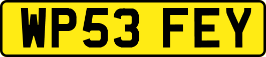 WP53FEY