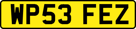 WP53FEZ