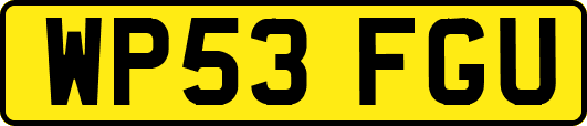 WP53FGU