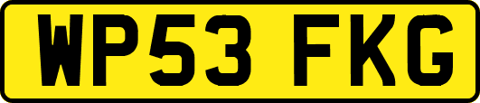 WP53FKG