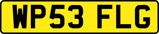 WP53FLG