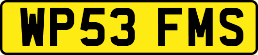 WP53FMS