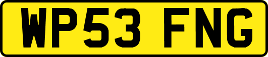 WP53FNG