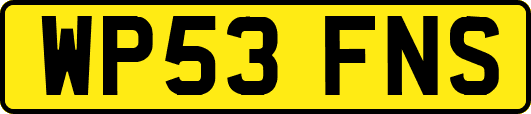 WP53FNS