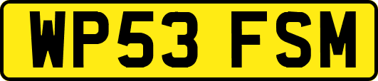 WP53FSM