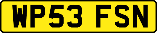 WP53FSN
