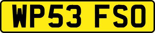 WP53FSO