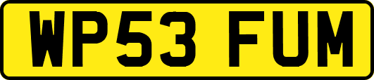 WP53FUM
