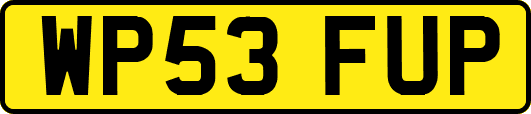 WP53FUP