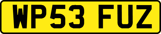 WP53FUZ