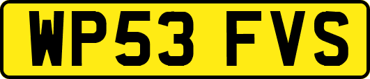 WP53FVS