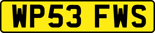 WP53FWS