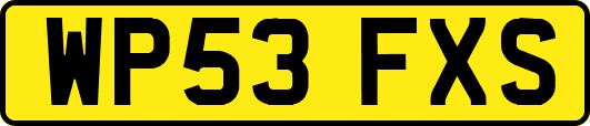 WP53FXS