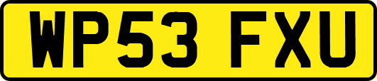WP53FXU