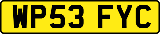 WP53FYC