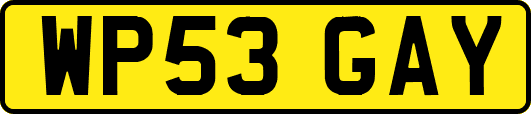 WP53GAY