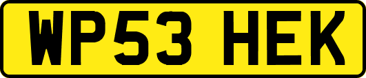 WP53HEK
