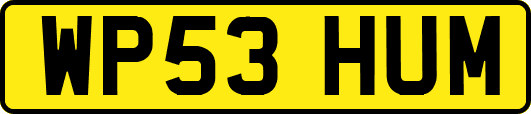 WP53HUM