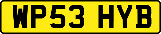WP53HYB