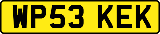 WP53KEK