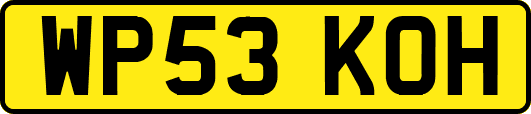 WP53KOH